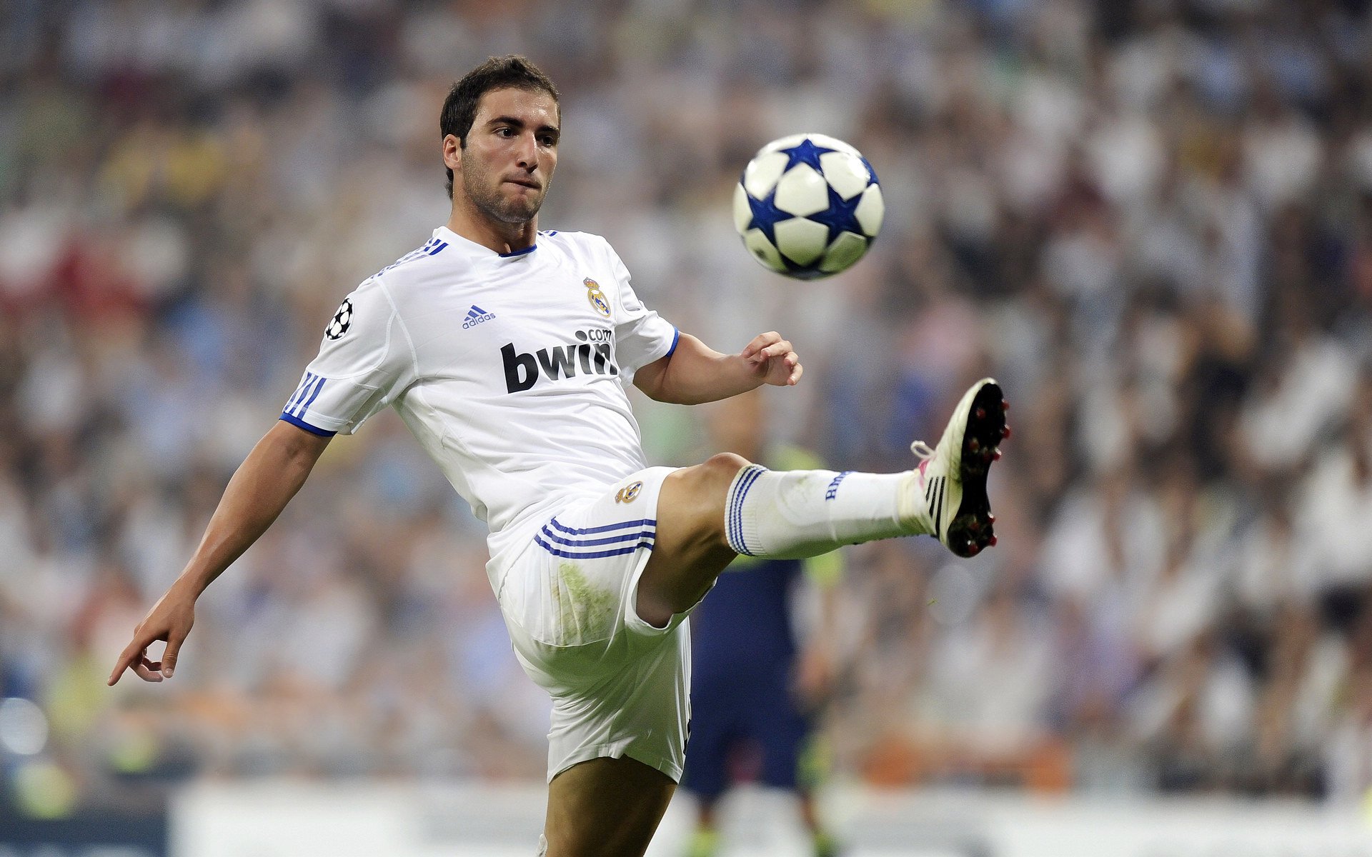 世界杯足球赛激烈角逐,世界杯足球比赛视频